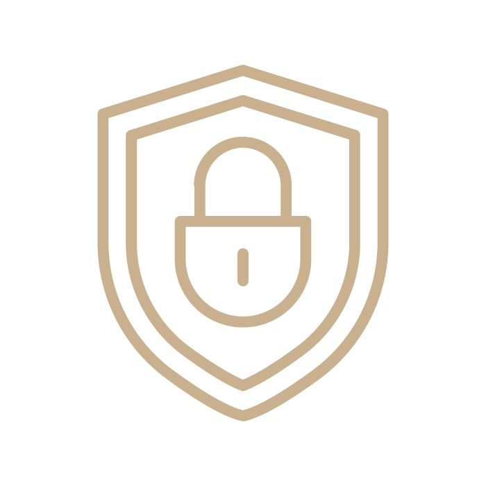 Icon protection/sécurité